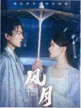 雾港谜案 收视资讯配图